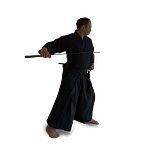 Iaido Iaido
