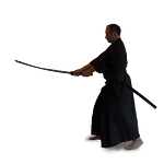 Iaido Iaido