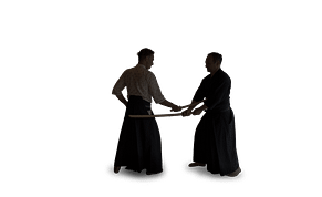 Kenjutsu Kenjutsu