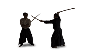 Kenjutsu Kenjutsu