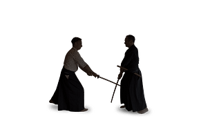 Kenjutsu Kenjutsu