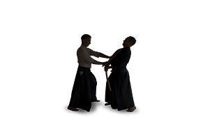 Kenjutsu Kenjutsu