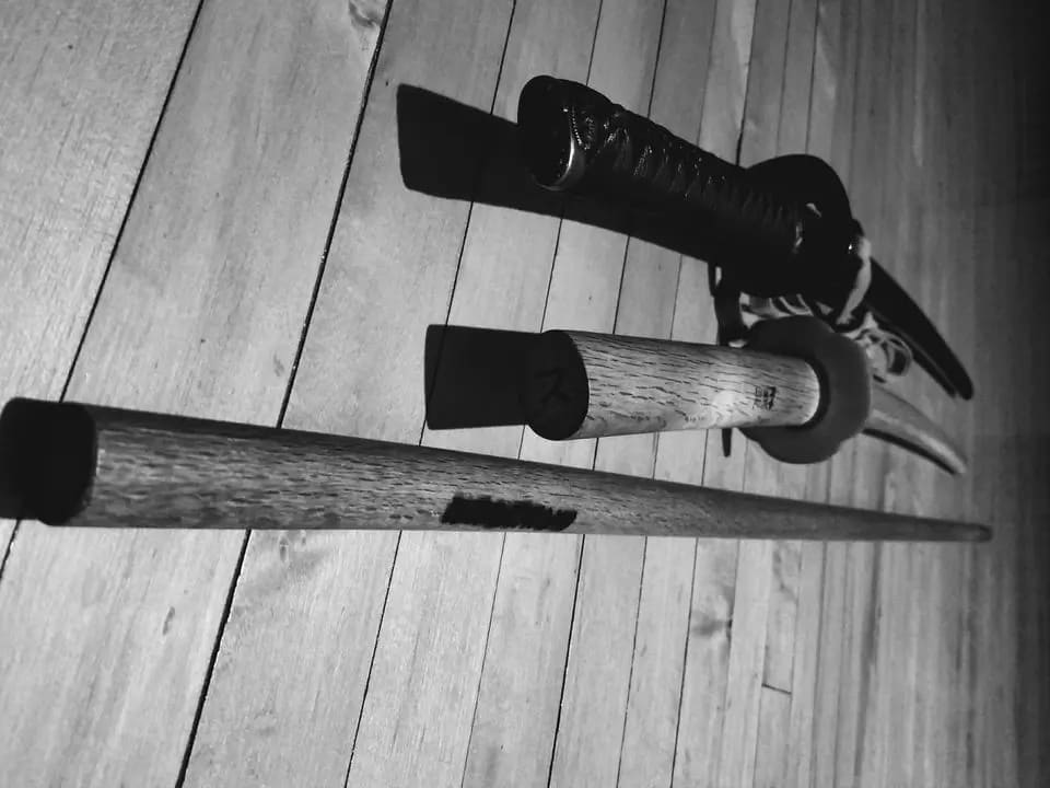 All-Michigan Koryu Kenkyukai Practice - Geiko All-Michigan Koryu Kenkyukai Practice - Geiko